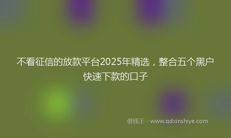 不看征信的放款平台2025年精选，整合五个黑户快速下款的口子