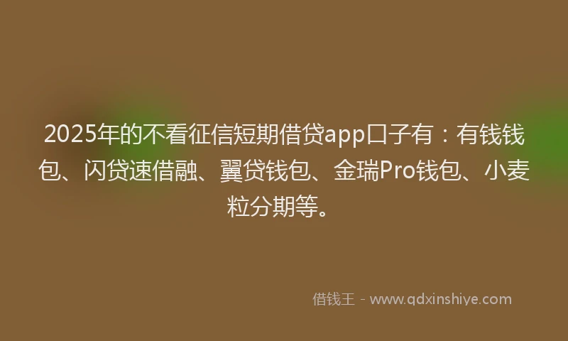 2025年的不看征信短期借贷app口子有：有钱钱包、闪贷速借融、翼贷钱包、金瑞Pro钱包、小麦粒分期等。