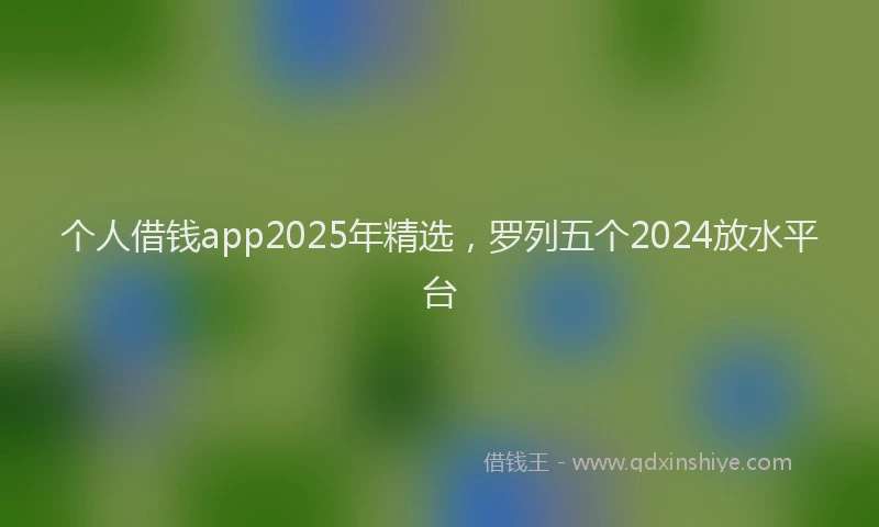 个人借钱app2025年精选，罗列五个2024放水平台