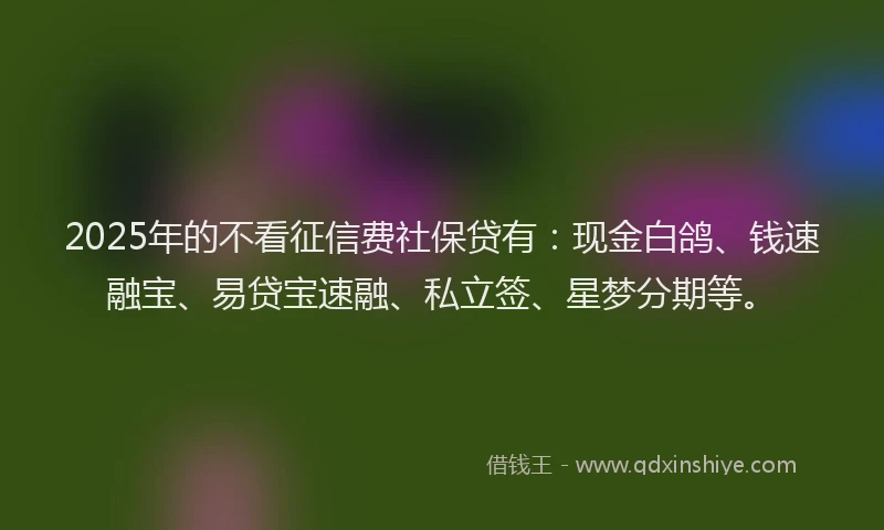 2025年的不看征信费社保贷有：现金白鸽、钱速融宝、易贷宝速融、私立签、星梦分期等。