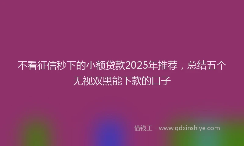 不看征信秒下的小额贷款2025年推荐，总结五个无视双黑能下款的口子