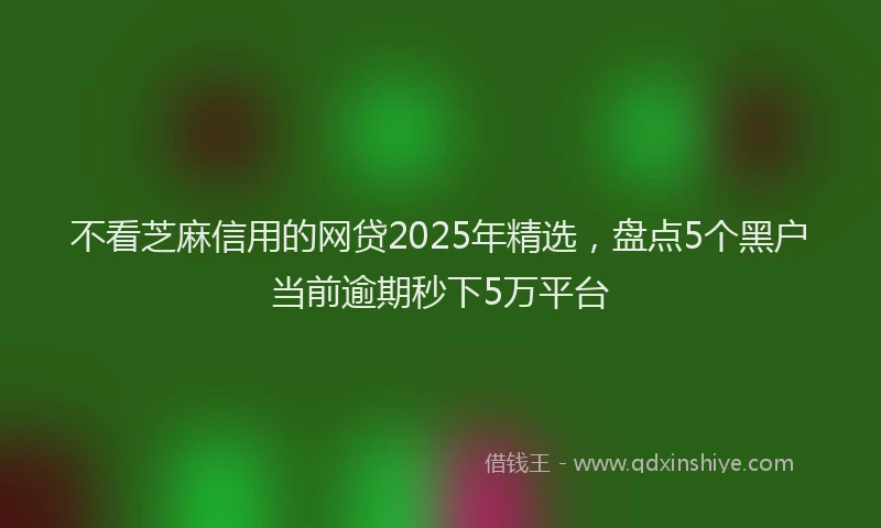 不看芝麻信用的网贷2025年精选，盘点5个黑户当前逾期秒下5万平台