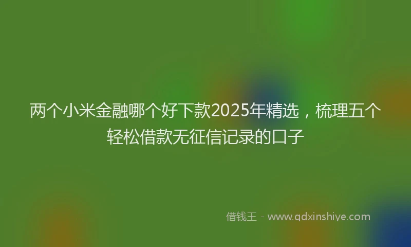 两个小米金融哪个好下款2025年精选，梳理五个轻松借款无征信记录的口子