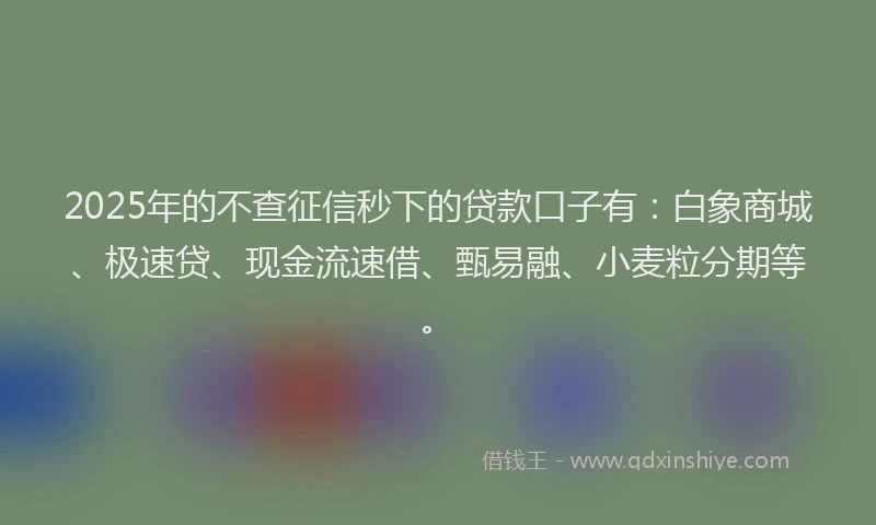 2025年的不查征信秒下的贷款口子有：白象商城、极速贷、现金流速借、甄易融、小麦粒分期等。