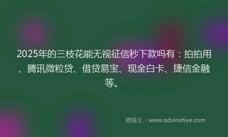 2025年的三枝花能无视征信秒下款吗有：拍拍用、腾讯微粒贷、借贷易宝、现金白卡、捷信金融等。