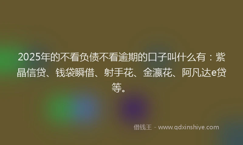 2025年的不看负债不看逾期的口子叫什么有：紫晶信贷、钱袋瞬借、射手花、金瀛花、阿凡达e贷等。