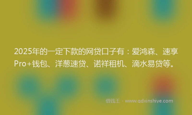 2025年的一定下款的网贷口子有：爱鸿森、速享Pro+钱包、洋葱速贷、诺祥租机、滴水易贷等。