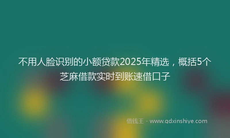 不用人脸识别的小额贷款2025年精选，概括5个芝麻借款实时到账速借口子