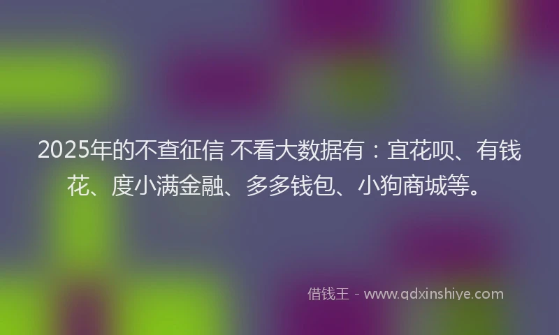 2025年的不查征信 不看大数据有：宜花呗、有钱花、度小满金融、多多钱包、小狗商城等。