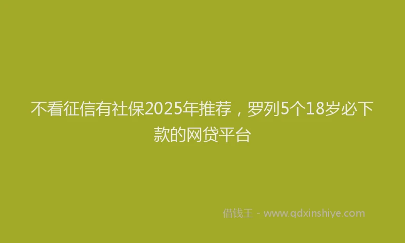 不看征信有社保2025年推荐，罗列5个18岁必下款的网贷平台