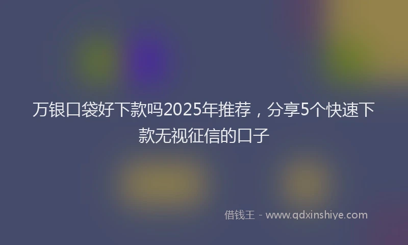 万银口袋好下款吗2025年推荐，分享5个快速下款无视征信的口子