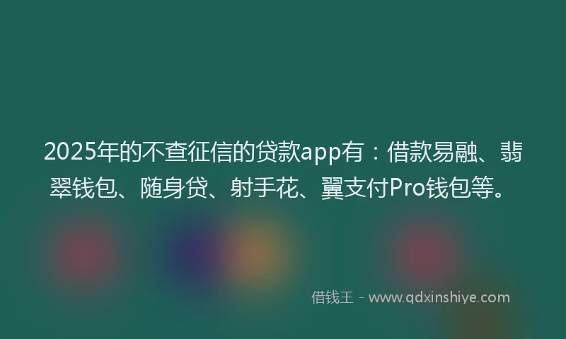 2025年的不查征信的贷款app有：借款易融、翡翠钱包、随身贷、射手花、翼支付Pro钱包等。
