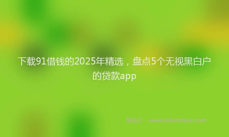 下载91借钱的2025年精选，盘点5个无视黑白户的贷款app