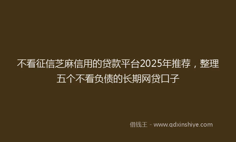 不看征信芝麻信用的贷款平台2025年推荐，整理五个不看负债的长期网贷口子