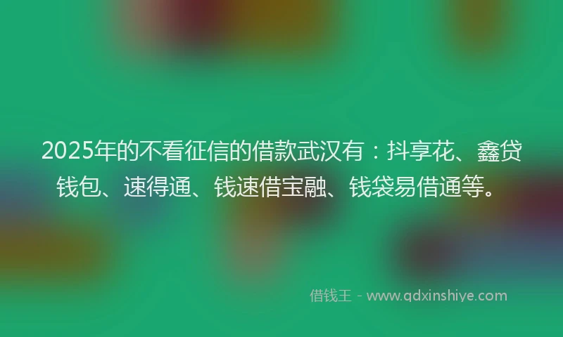 2025年的不看征信的借款武汉有：抖享花、鑫贷钱包、速得通、钱速借宝融、钱袋易借通等。