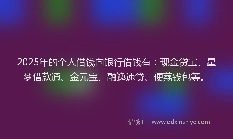 2025年的个人借钱向银行借钱有：现金贷宝、星梦借款通、金元宝、融逸速贷、便荔钱包等。