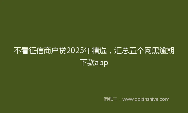 不看征信商户贷2025年精选，汇总五个网黑逾期下款app