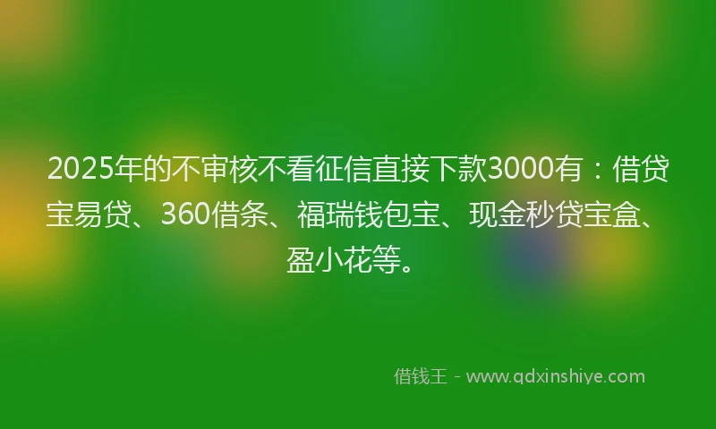 2025年的不审核不看征信直接下款3000有：借贷宝易贷、360借条、福瑞钱包宝、现金秒贷宝盒、盈小花等。