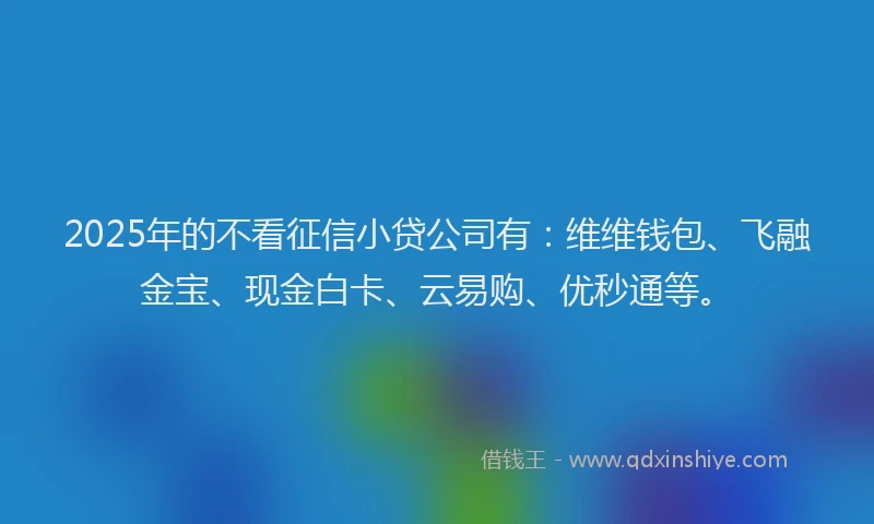 2025年的不看征信小贷公司有：维维钱包、飞融金宝、现金白卡、云易购、优秒通等。
