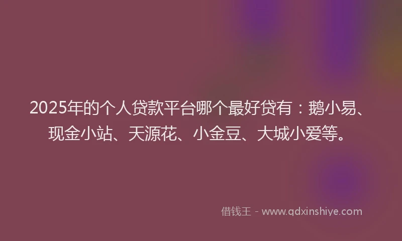 2025年的个人贷款平台哪个最好贷有：鹅小易、现金小站、天源花、小金豆、大城小爱等。