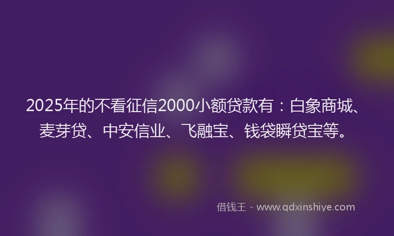 2025年的不看征信2000小额贷款有：白象商城、麦芽贷、中安信业、飞融宝、钱袋瞬贷宝等。