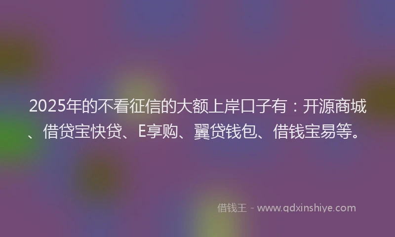 2025年的不看征信的大额上岸口子有：开源商城、借贷宝快贷、E享购、翼贷钱包、借钱宝易等。