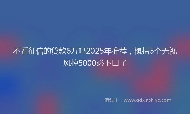 不看征信的贷款6万吗2025年推荐，概括5个无视风控5000必下口子