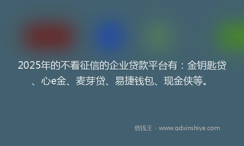 2025年的不看征信的企业贷款平台有：金钥匙贷、心e金、麦芽贷、易捷钱包、现金侠等。