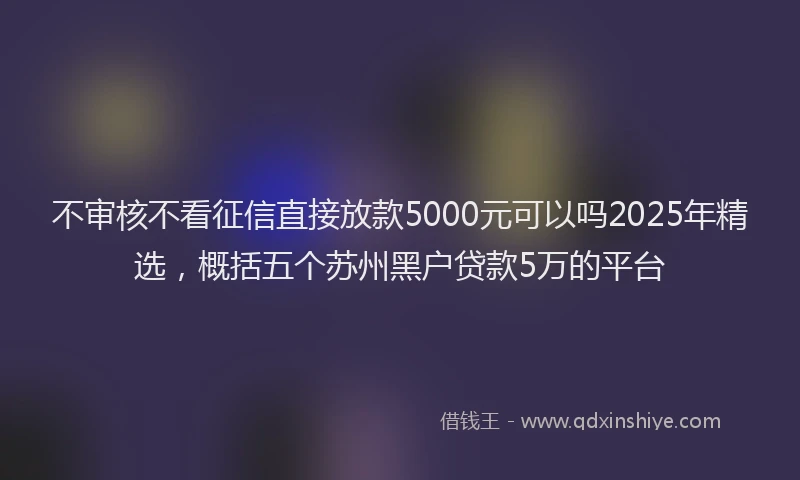不审核不看征信直接放款5000元可以吗2025年精选，概括五个苏州黑户贷款5万的平台