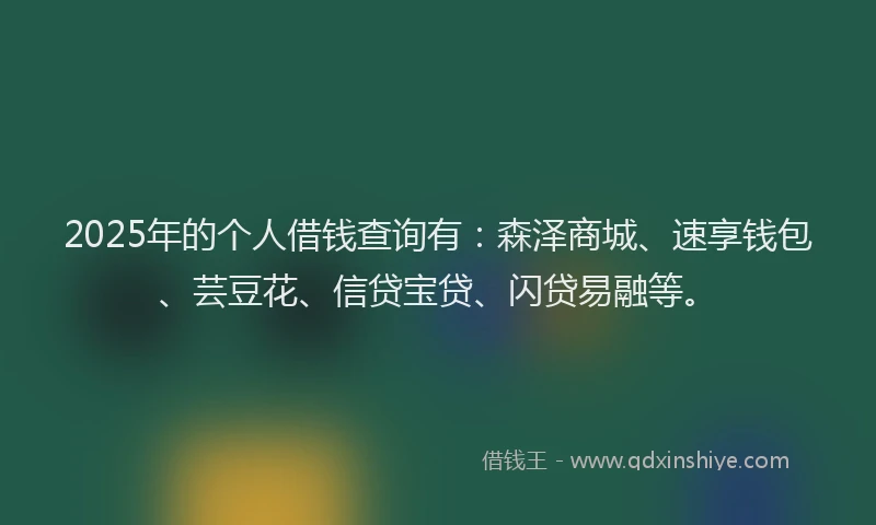 2025年的个人借钱查询有：森泽商城、速享钱包、芸豆花、信贷宝贷、闪贷易融等。