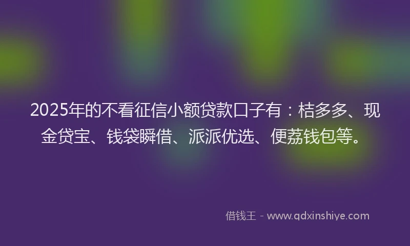 2025年的不看征信小额贷款口子有：桔多多、现金贷宝、钱袋瞬借、派派优选、便荔钱包等。