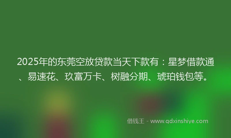 2025年的东莞空放贷款当天下款有：星梦借款通、易速花、玖富万卡、树融分期、琥珀钱包等。