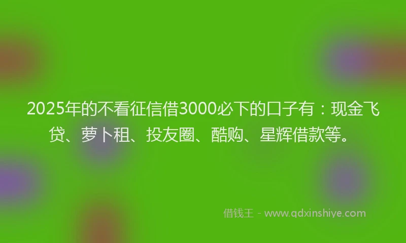2025年的不看征信借3000必下的口子有：现金飞贷、萝卜租、投友圈、酷购、星辉借款等。