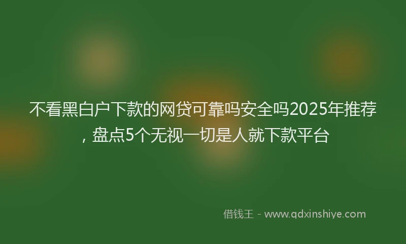 不看黑白户下款的网贷可靠吗安全吗2025年推荐，盘点5个无视一切是人就下款平台