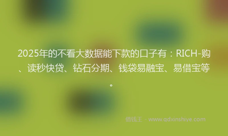 2025年的不看大数据能下款的口子有：RICH-购、读秒快贷、钻石分期、钱袋易融宝、易借宝等。