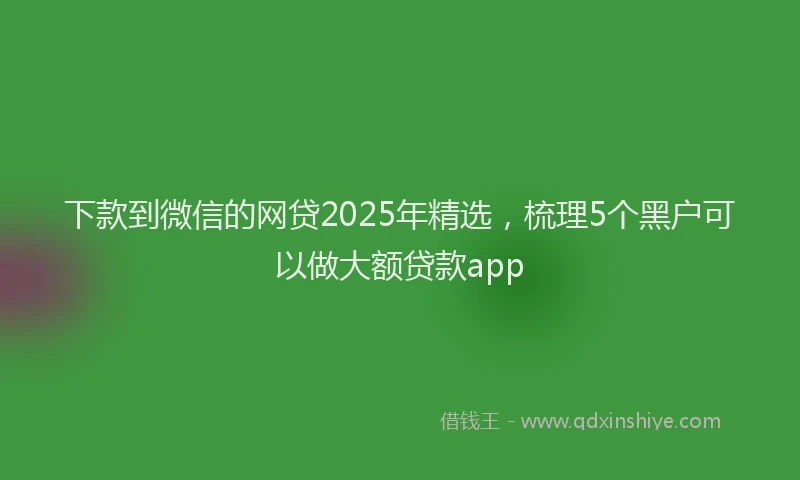 下款到微信的网贷2025年精选，梳理5个黑户可以做大额贷款app