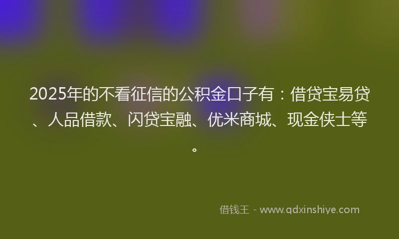 2025年的不看征信的公积金口子有：借贷宝易贷、人品借款、闪贷宝融、优米商城、现金侠士等。