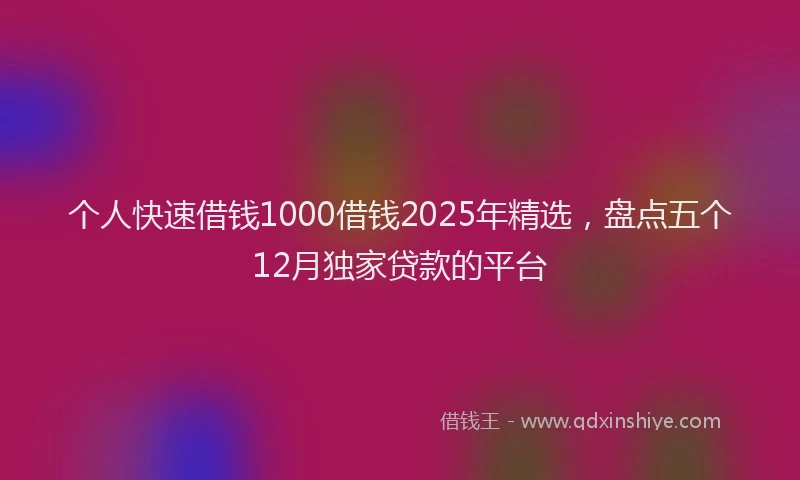 个人快速借钱1000借钱2025年精选，盘点五个12月独家贷款的平台