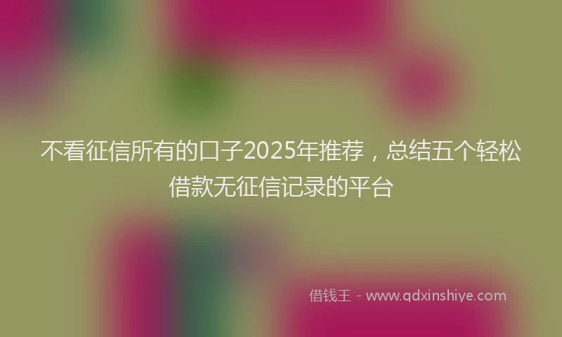 不看征信所有的口子2025年推荐，总结五个轻松借款无征信记录的平台