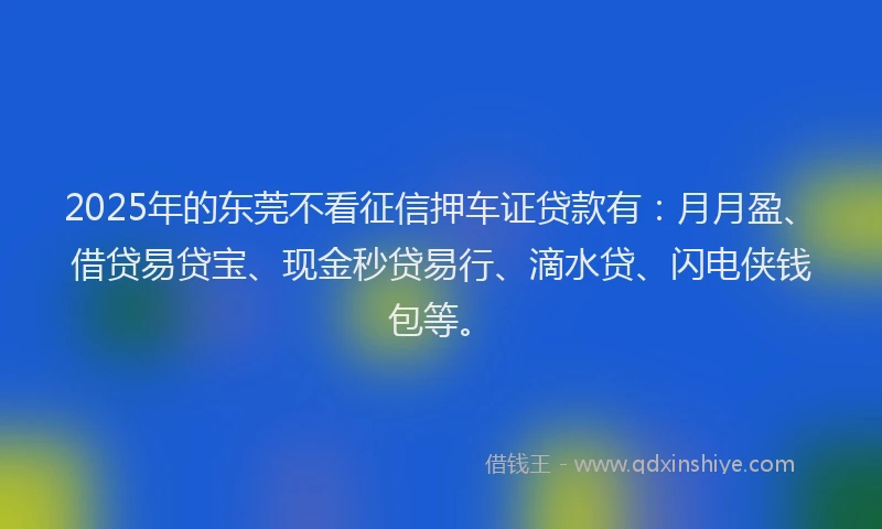 2025年的东莞不看征信押车证贷款有：月月盈、借贷易贷宝、现金秒贷易行、滴水贷、闪电侠钱包等。