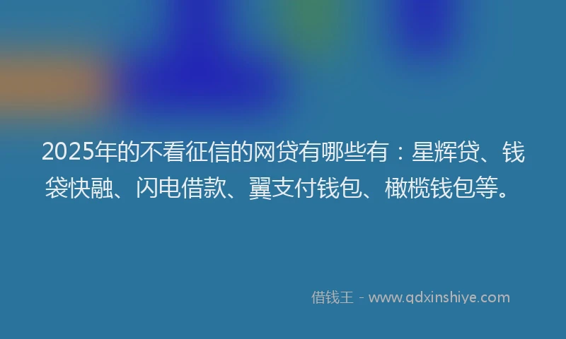 2025年的不看征信的网贷有哪些有：星辉贷、钱袋快融、闪电借款、翼支付钱包、橄榄钱包等。