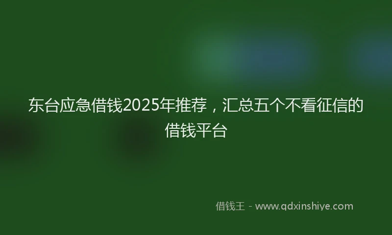 东台应急借钱2025年推荐，汇总五个不看征信的借钱平台