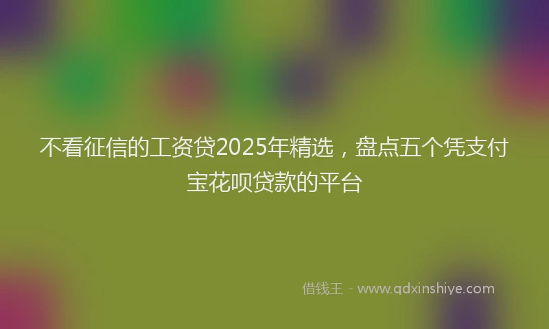 不看征信的工资贷2025年精选，盘点五个凭支付宝花呗贷款的平台