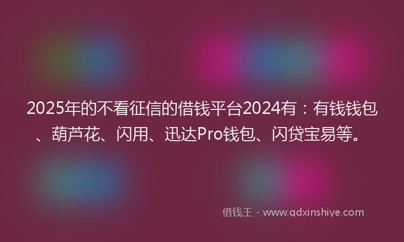 2025年的不看征信的借钱平台2024有：有钱钱包、葫芦花、闪用、迅达Pro钱包、闪贷宝易等。