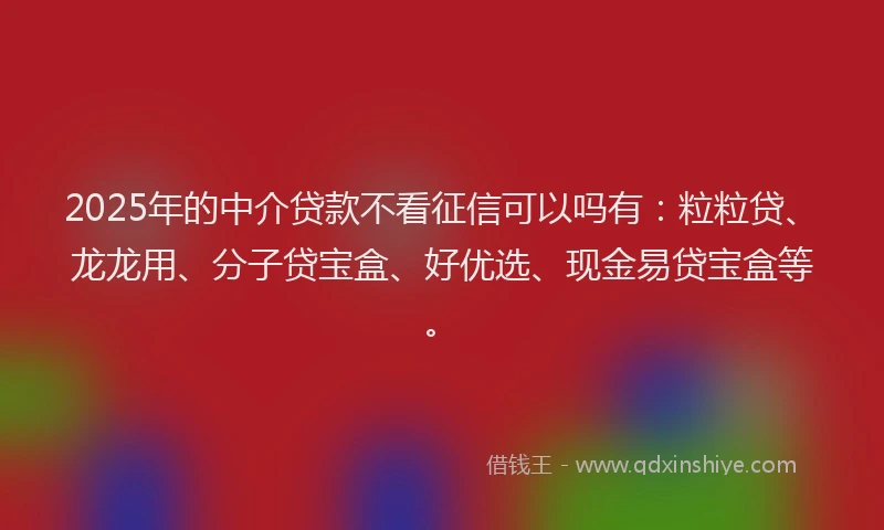 2025年的中介贷款不看征信可以吗有：粒粒贷、龙龙用、分子贷宝盒、好优选、现金易贷宝盒等。