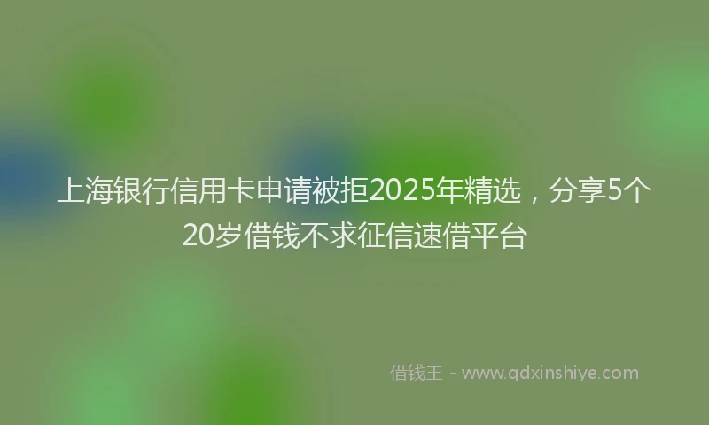 上海银行信用卡申请被拒2025年精选，分享5个20岁借钱不求征信速借平台