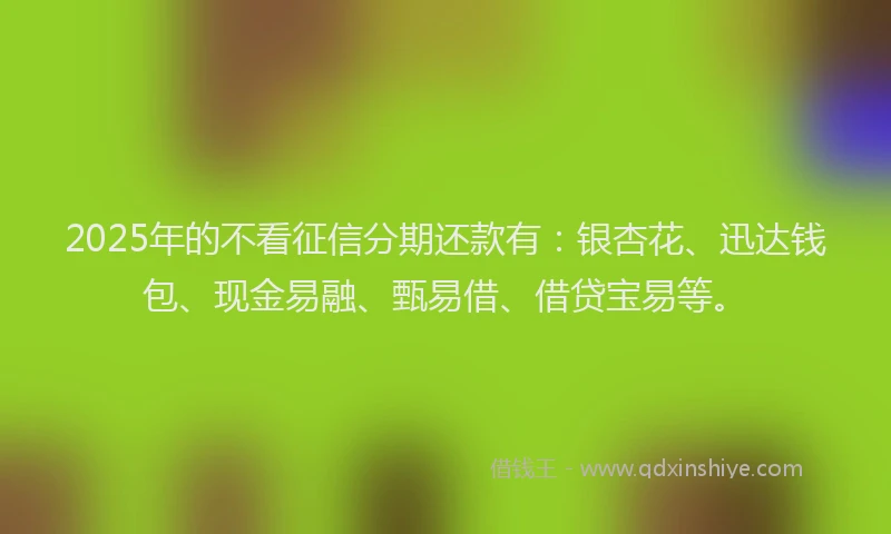 2025年的不看征信分期还款有：银杏花、迅达钱包、现金易融、甄易借、借贷宝易等。