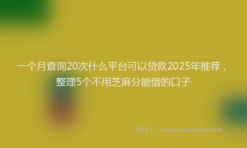 一个月查询20次什么平台可以贷款2025年推荐，整理5个不用芝麻分能借的口子