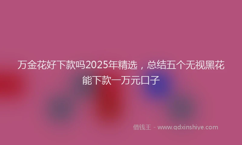 万金花好下款吗2025年精选，总结五个无视黑花能下款一万元口子