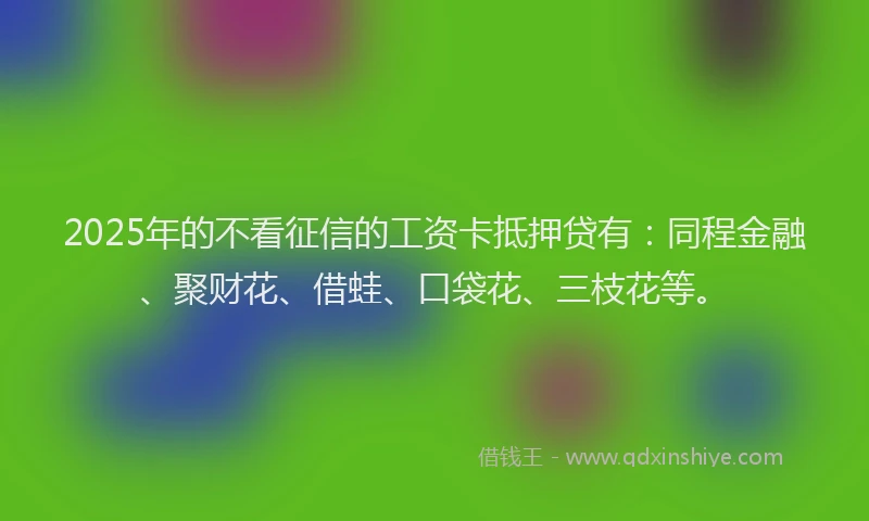 2025年的不看征信的工资卡抵押贷有：同程金融、聚财花、借蛙、口袋花、三枝花等。